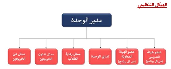 الهيكل التنظيمى